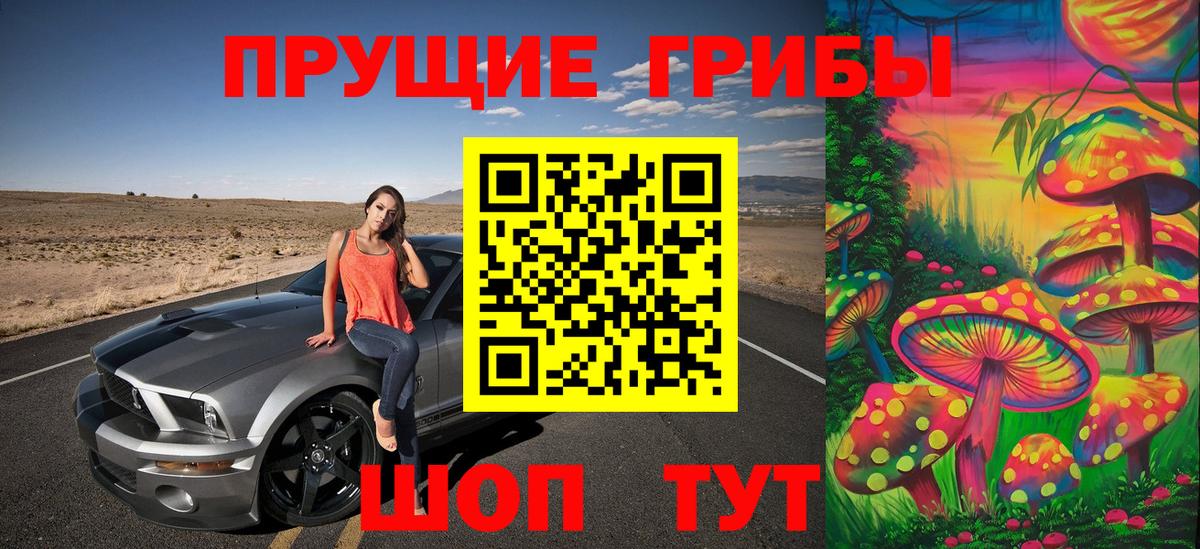 Псилоцибиновые грибы Psilocybine cubensis  Вход с VPN  Ленинск-Кузнецкий 